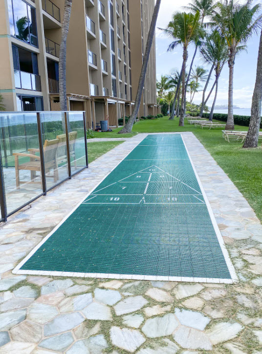 shuffleboard alongside the resort with tall palm trees